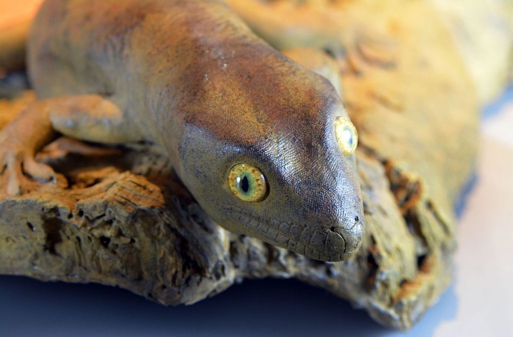 19 Spesies Reptile Yang Ternyata Sudah Punah