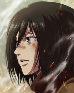 mikasa