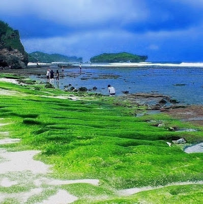 Mengenal Pantai Slili Gunung kidul, Dijamin Kamu bakal Terpesona!