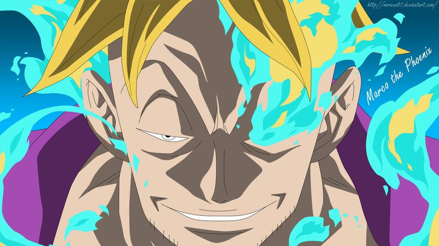 Marco the Phoenix One Piece. Sumber: pinterest.com