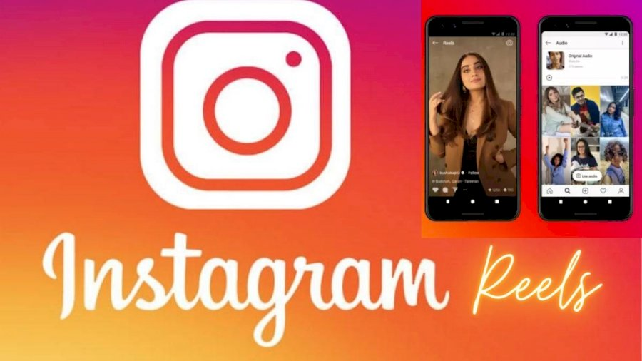 5 Downloader Video Instagram Terbaik & Langkahnya