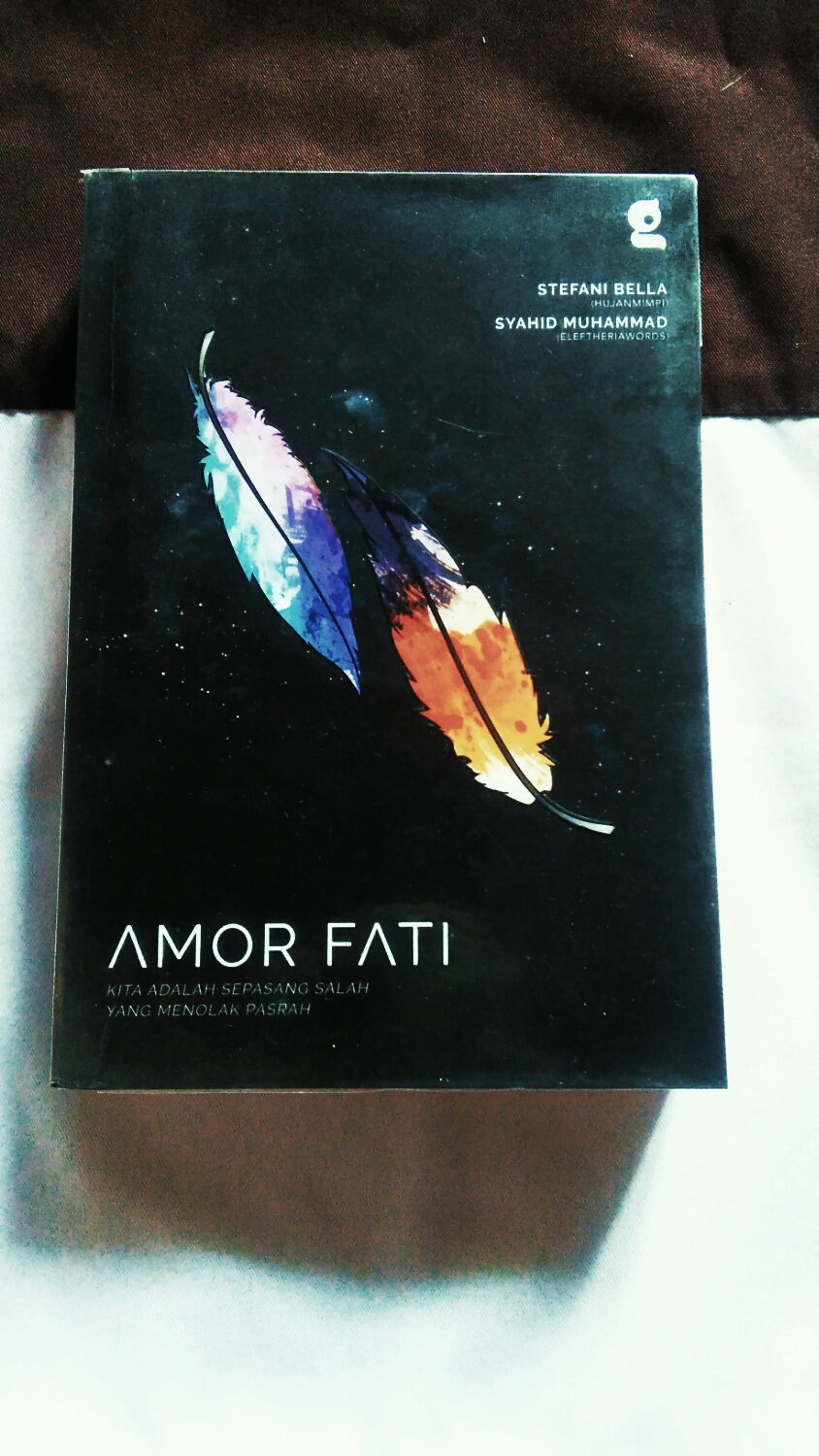 Amor Fati (Sumber: Dokumen Pribadi)