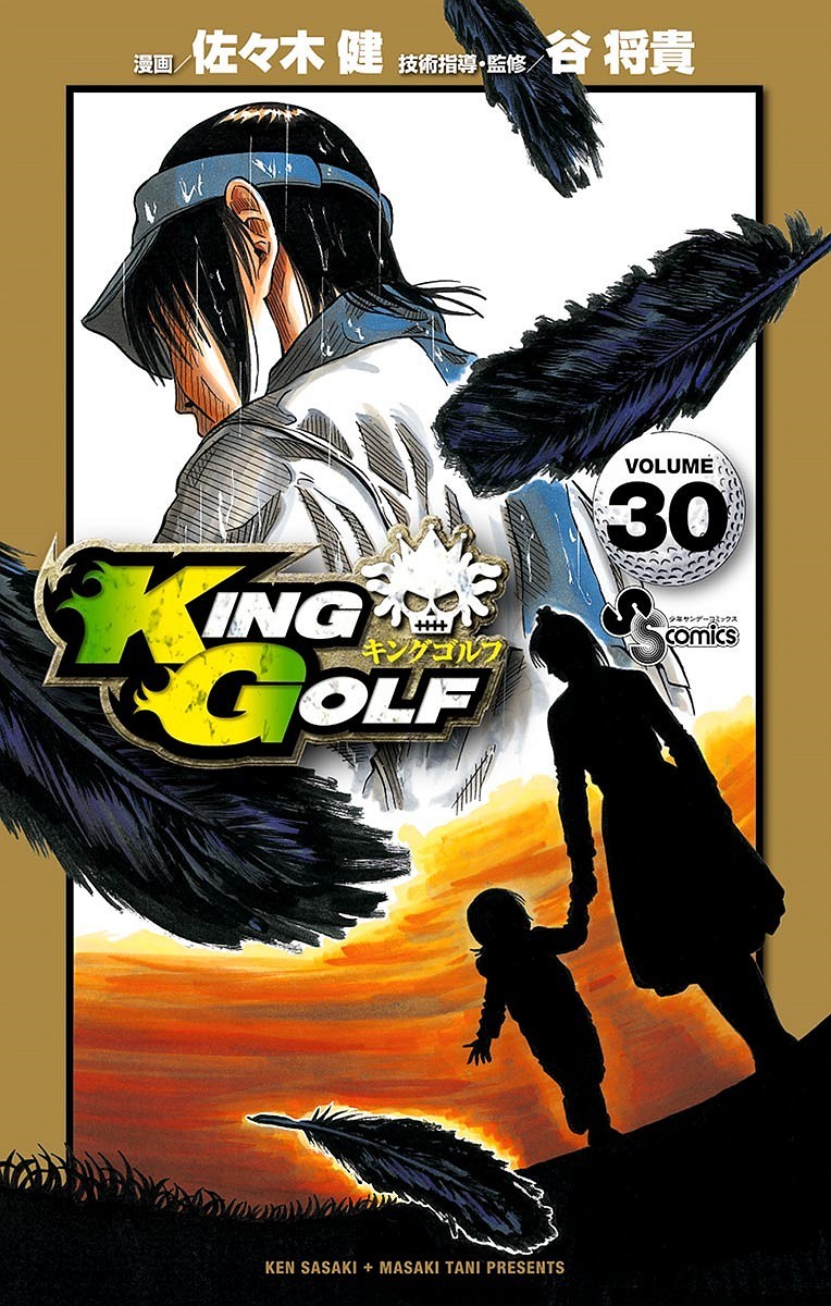 Cover Volume 30