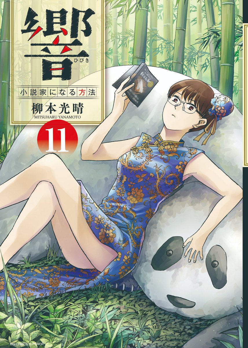 Cover Volume 11