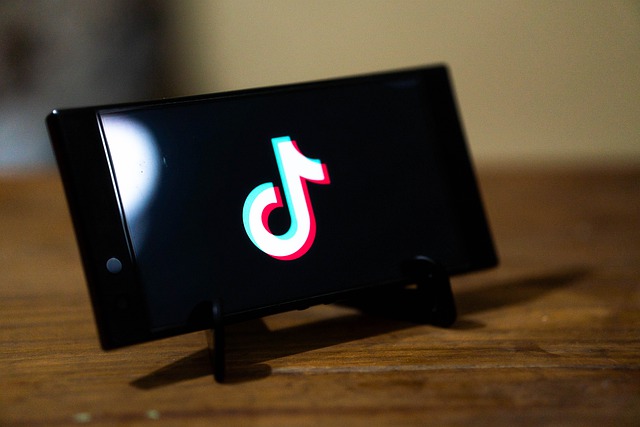 Cara Mudah Mendownload Lagu Tiktok Tanpa Aplikasi