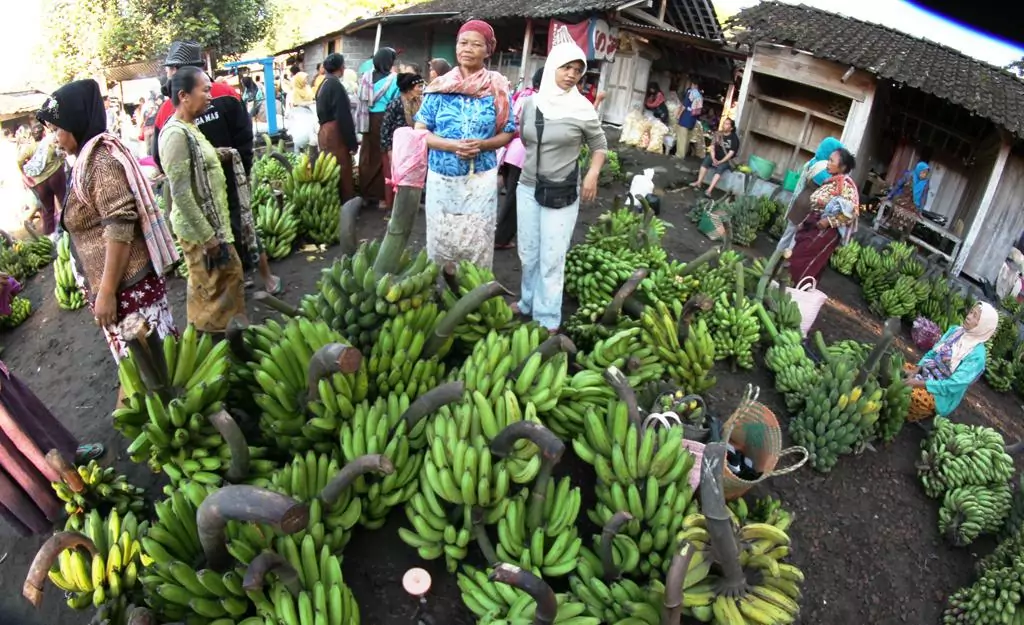 Pasar Tradisional Surowono di Lereng Merapi Klaten