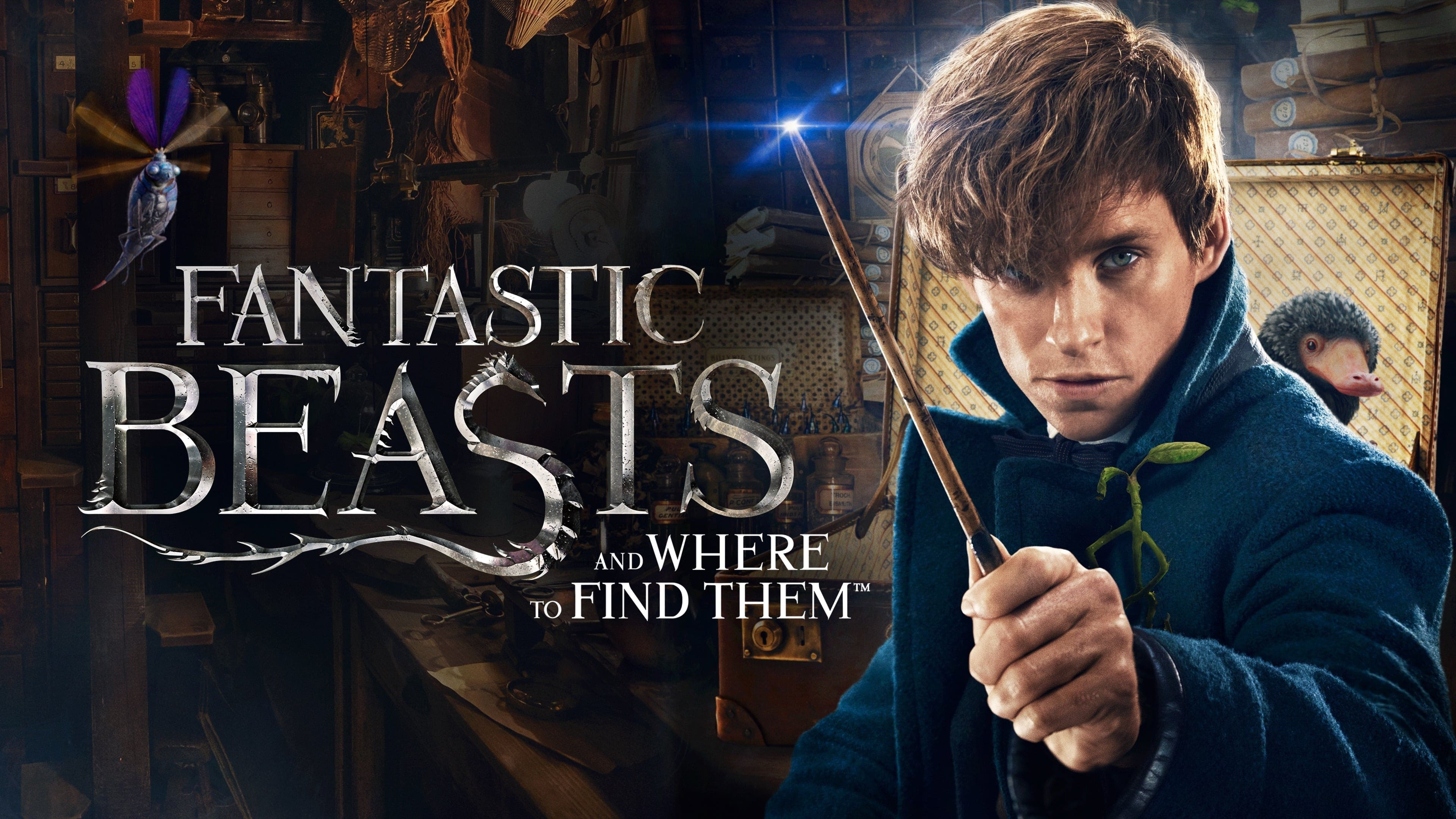 Baca Ini Sebelum Menonton Fantastic Beast: Secret of Dumbledore