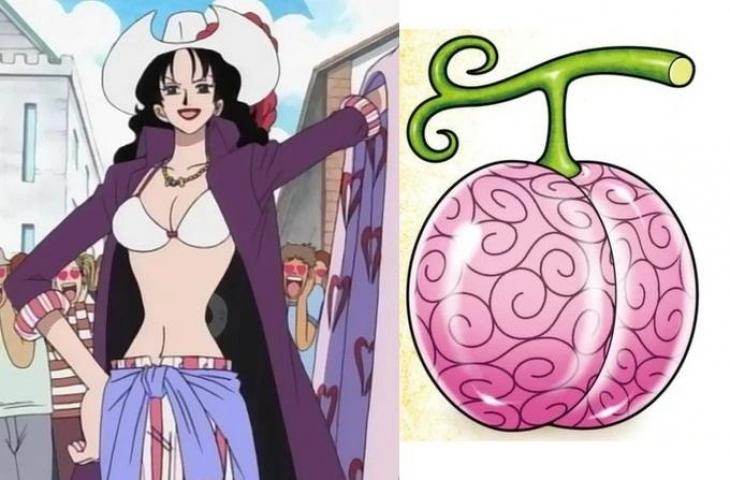 5 Buah Iblis Paling Ga Guna Di One Piece