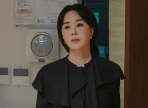 Cara Nonton Gratis Dr Cha Episode 1-12 Sub Indo, Klik Di Sini!