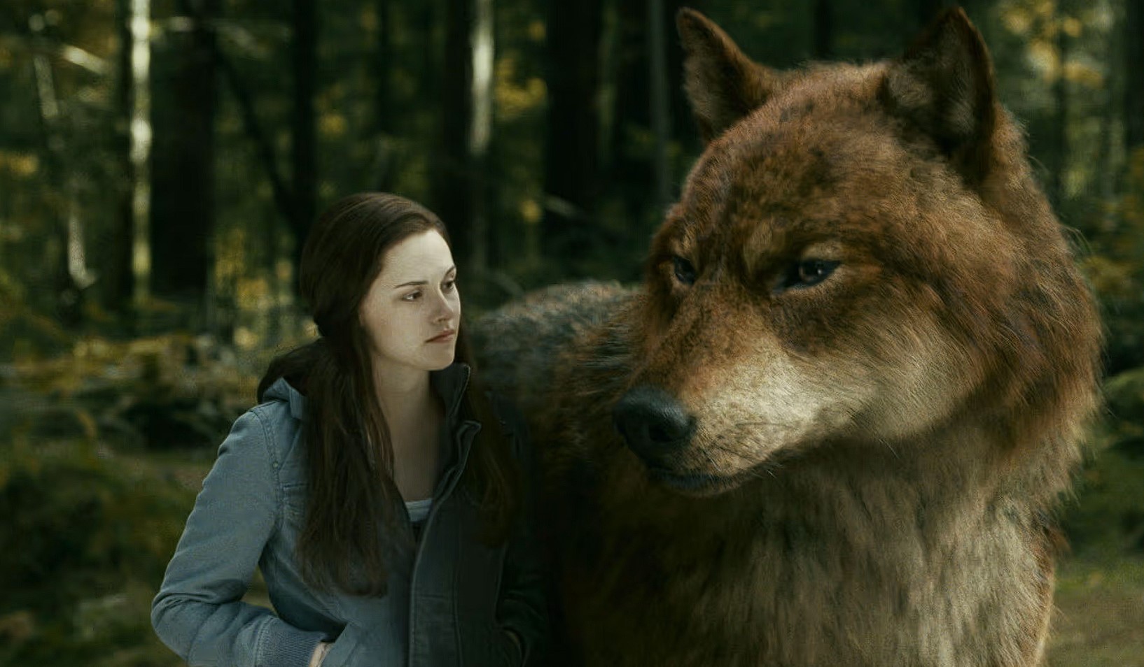 Nonton Film The Twilight Saga Eclipse Sub Indo Full Movie Resmi, Bukan LK21