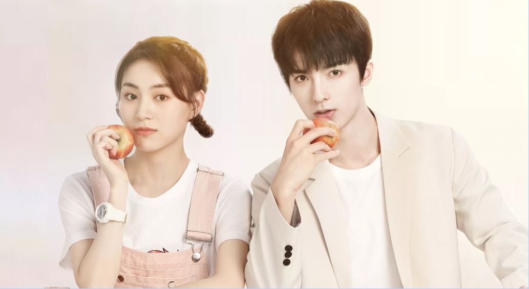 4 Rekomendasi Drama Dai Gao Zheng, Pemain Maid's Revenge