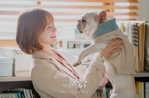 Nonton A Good Day to Be a Dog Episode 3 Sub Indo Bukan Drakorindo, Klik Di Sini!