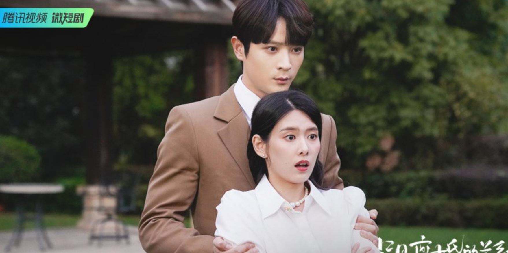 Nonton Drama China Crush on My Ex-husband Ep 1-22 Sub Indo Bukan Dramacool!