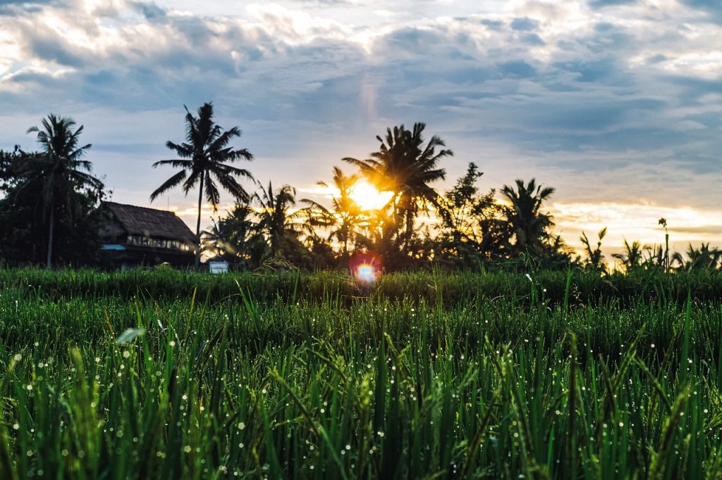 Ubud Bali