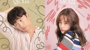 Nonton Drama Korea Familiar Wife
