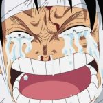 Anime One Piece Hiatus