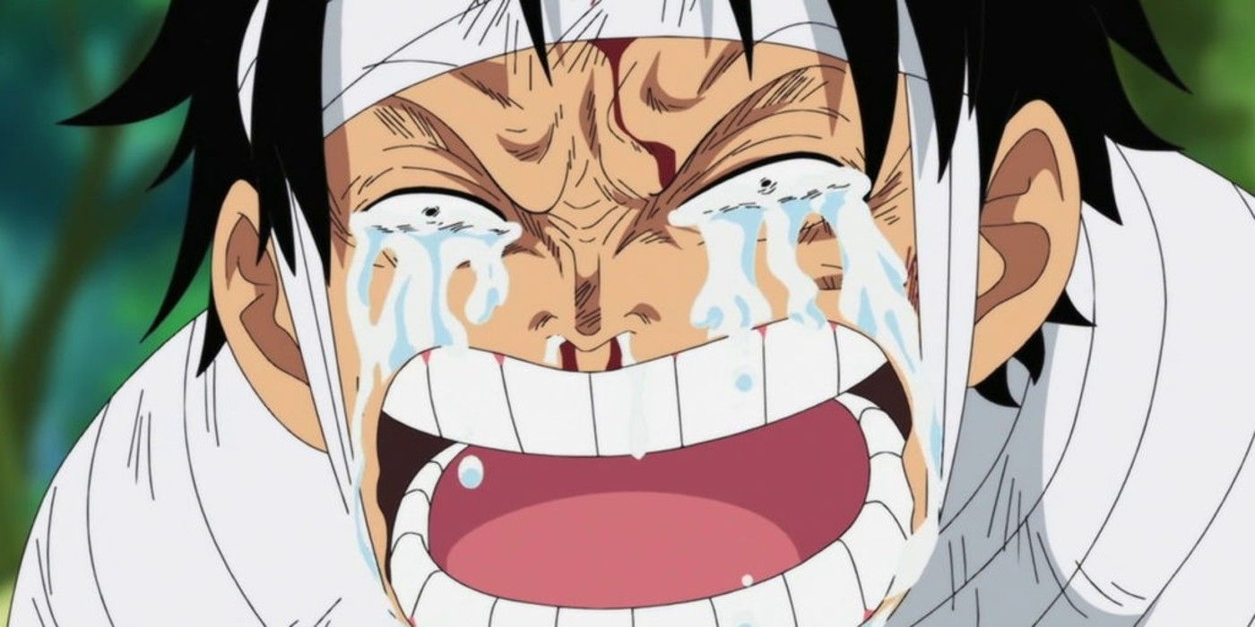 Anime One Piece Hiatus