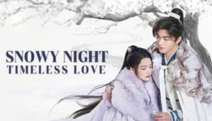 Snowy Night: Timeless Love