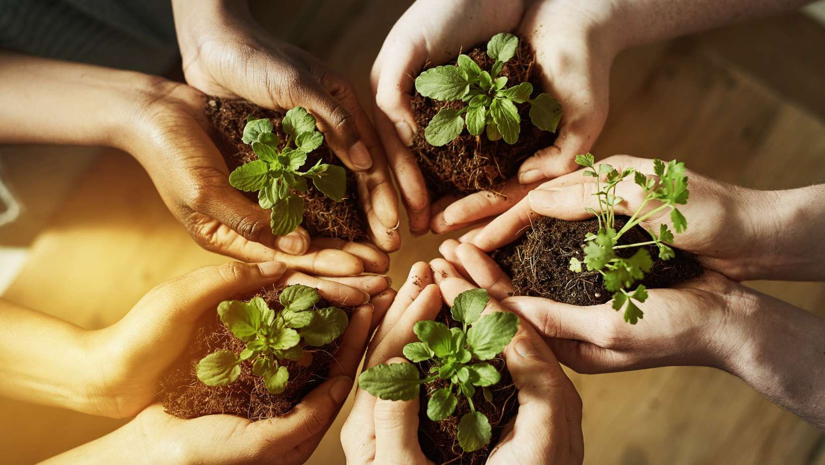 Struktur Organisasi dan Peran Dinas Lingkungan Hidup Kabupaten Gowa dalam Pengelolaan Lingkungan