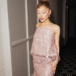 Ariana Grande Diserang Penggemar, Pelaku Terancam Didenda