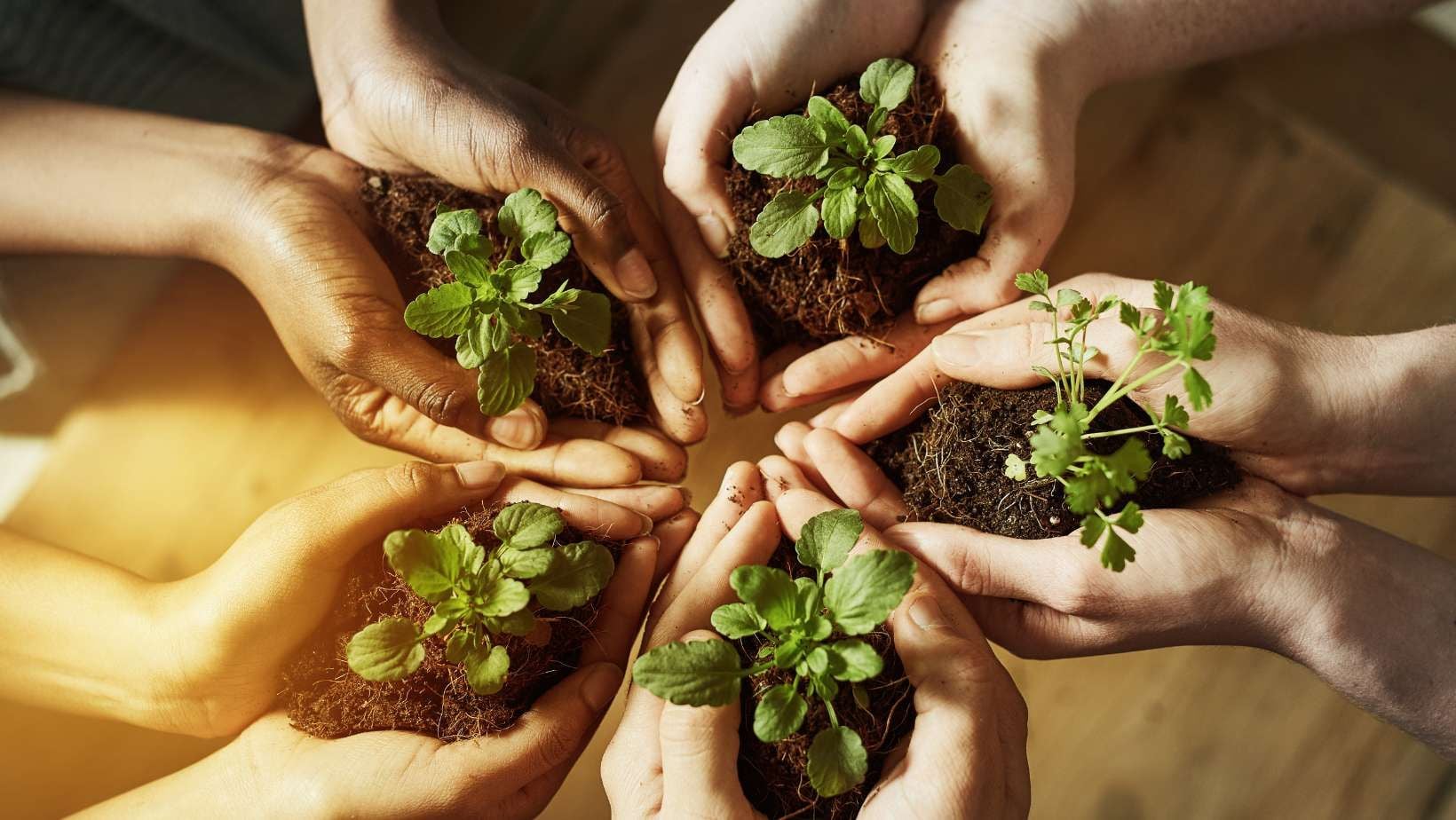 Mengenal Lebih Dekat Struktur Organisasi DLH Selayar