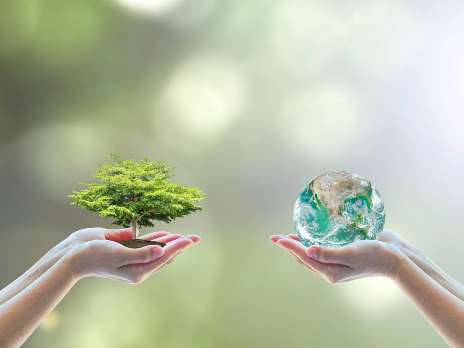 Struktur Dinas Lingkungan Hidup Kabupaten Semarang, Pilar Pengelolaan Lingkungan Berkelanjutan