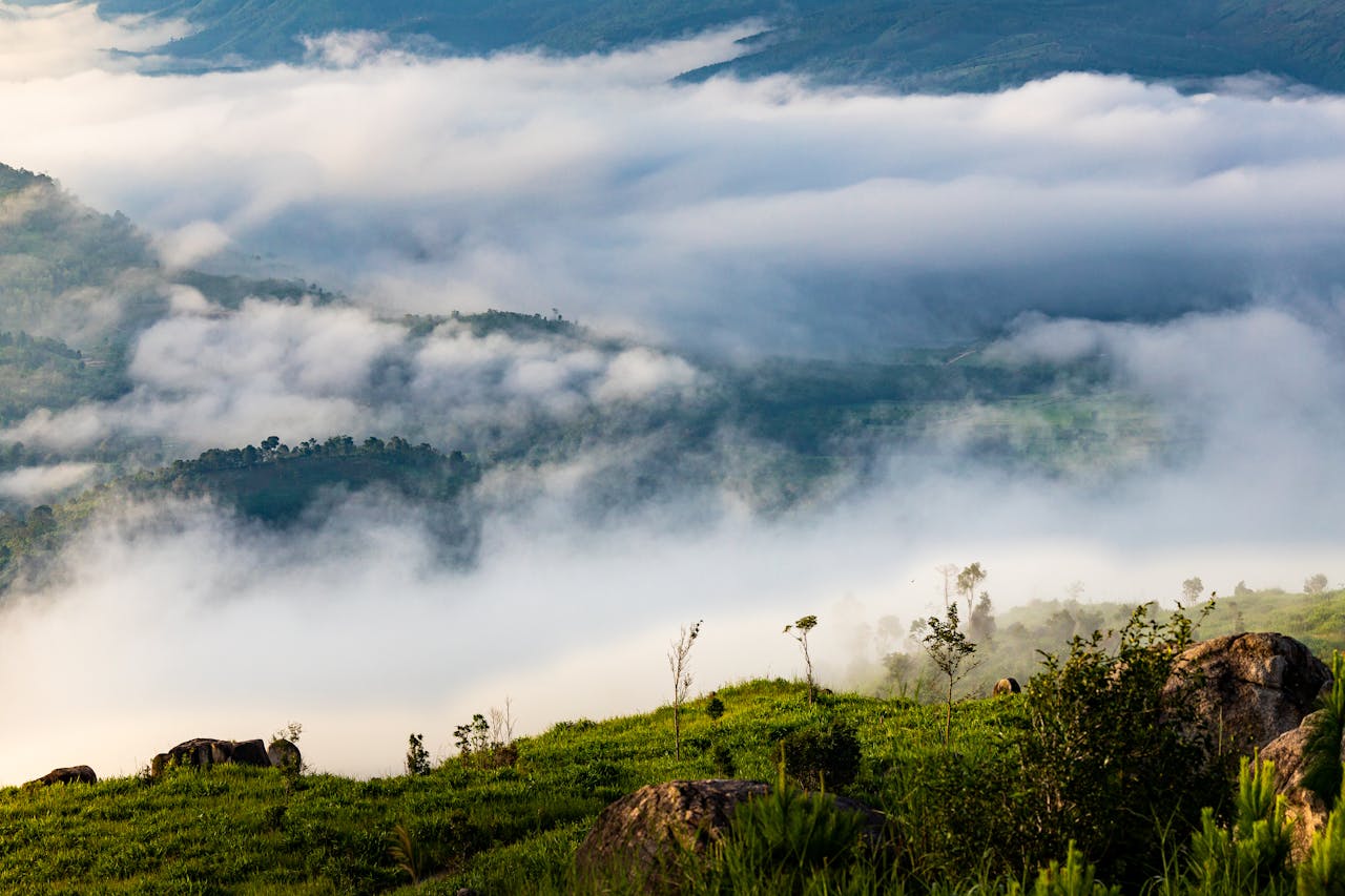 Dinas Lingkungan Hidup Tapanuli Tengah Hadirkan Program Inovatif yang Berbasis Pemberdayaan Masyarakat