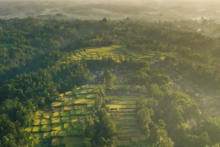 Desa Nogosari dengan Keunggulan Wisata Alam dan Ekonomi Kreatif 1 Desa Nogosari