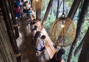 Morikafe, Hidden Game Cafe dengan Nuansa Hutan Pinus yang Menenangkan