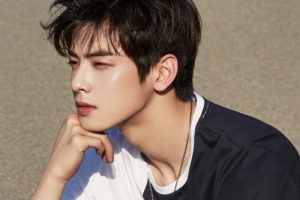 Cha Eun Woo Ajukan Banding, Pajak 13 Miliar Won Sudah Dibayar