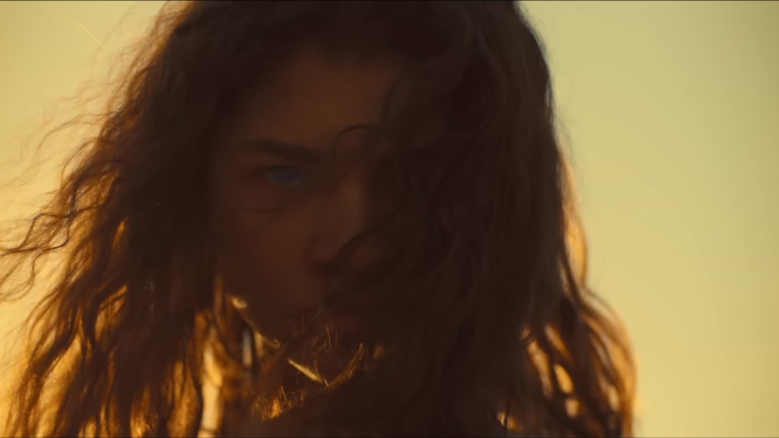 Chani dalam adaptasi film Dune Denis Villeneuve