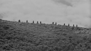 Adegan Seven Samurai
